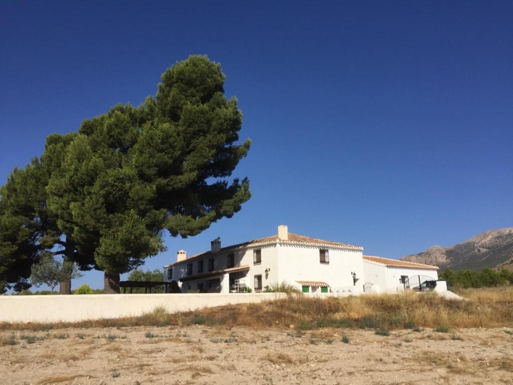 B&B Cortijo El Ciruelo Chirivel Ngoại thất bức ảnh