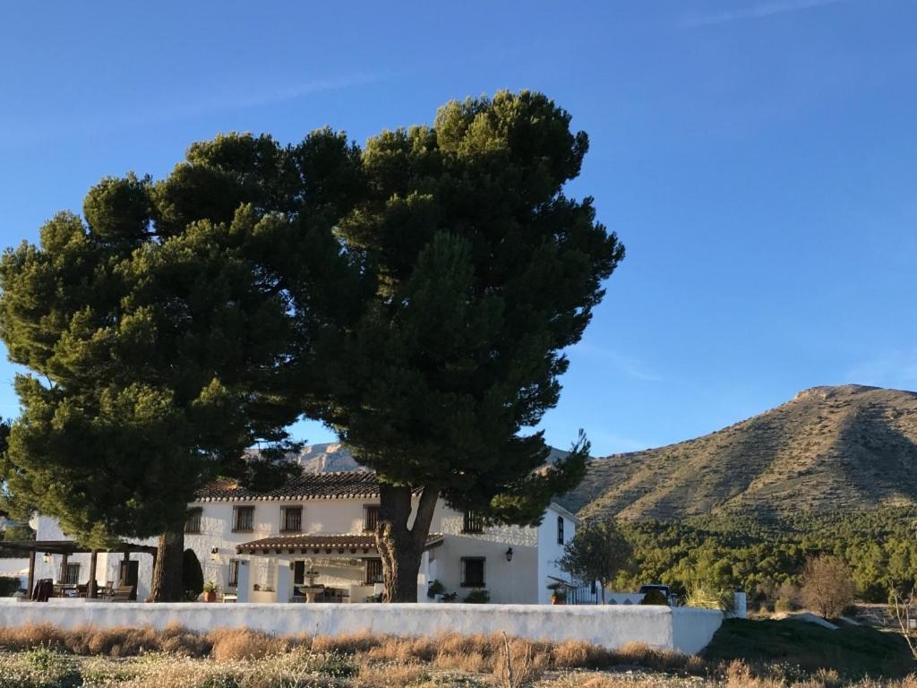 B&B Cortijo El Ciruelo Chirivel Ngoại thất bức ảnh