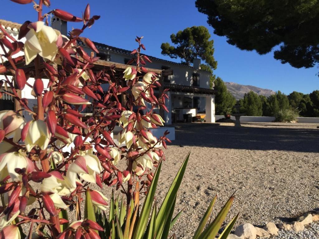 B&B Cortijo El Ciruelo Chirivel Ngoại thất bức ảnh